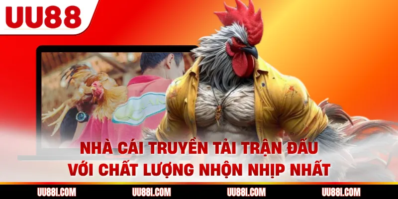 Nhà cái truyền tải trận đấu với chất lượng nhộn nhịp nhất